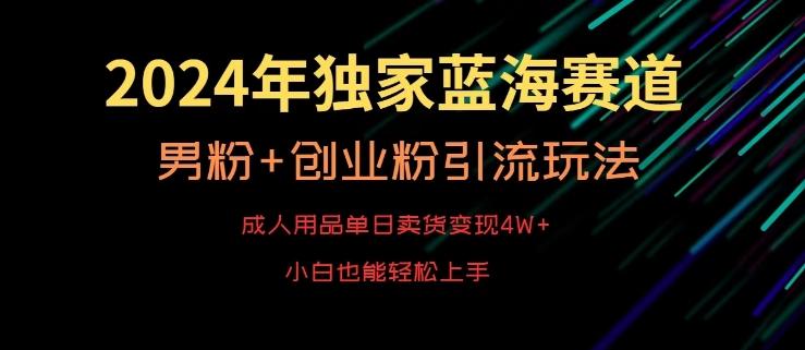 2024年独家蓝海赛道，成人用品单日卖货变现4W+，男粉+创业粉引流玩法，不愁搞不到流量【揭秘】-KF云创