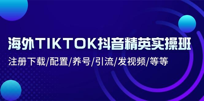 海外TIKTOK抖音精英实操班：注册下载/配置/养号/引流/发视频/等等-KF云创