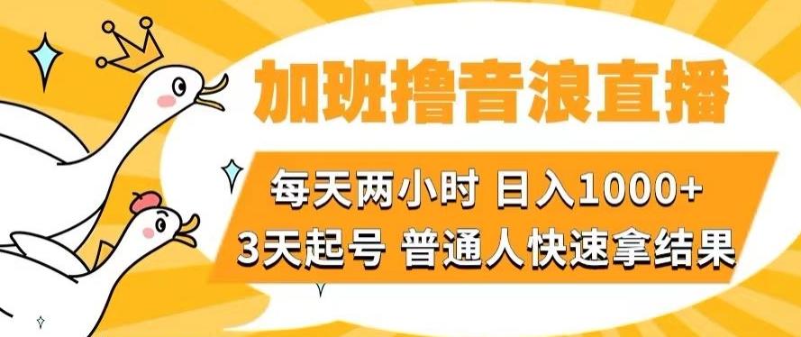 加班撸音浪直播，每天两小时，日入1000+，直播话术才3句，3天起号，普通人快速拿结果【揭秘】-KF云创