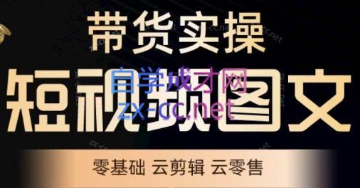 鑫哥·2024零基础短视频带货实操营-KF云创
