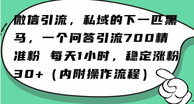 怎么搞精准创业粉？微信新赛道，每天一小时，利用Ai一个问答日引100精准粉-KF云创