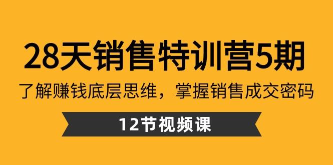 28天销售特训营5期：了解赚钱底层思维，掌握销售成交密码（12节课）-KF云创