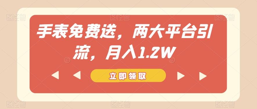 手表免费送，两大平台引流，月入1.2W【揭秘】-KF云创