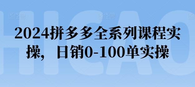 2024拼多多全系列课程实操，日销0-100单实操【必看】-KF云创