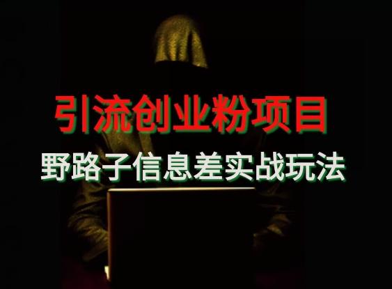 【引流创业粉】野路子信息差玩法实战教学-KF云创