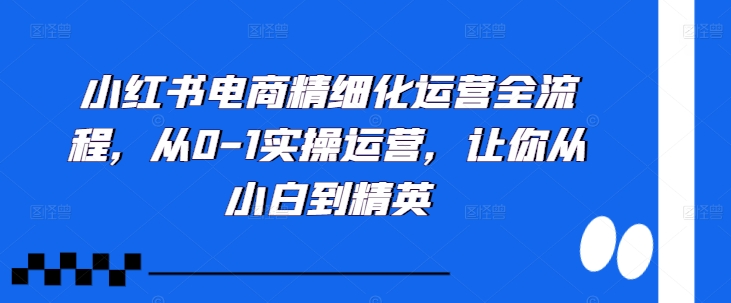 小红书电商精细化运营全流程，从0-1实操运营，让你从小白到精英-KF云创