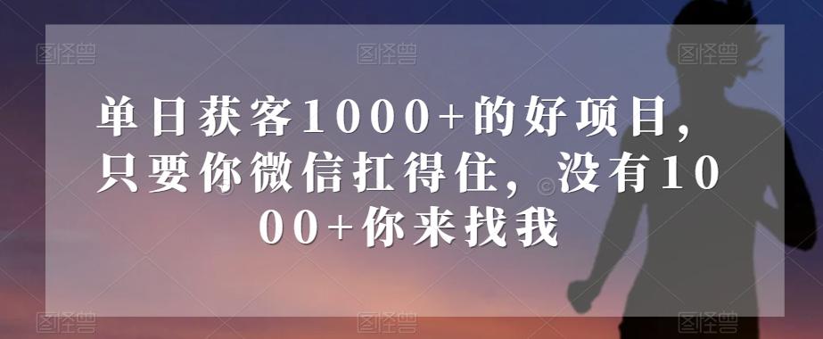 单日获客1000+的好项目，只要你微信扛得住，没有1000+你来找我【揭秘】-KF云创