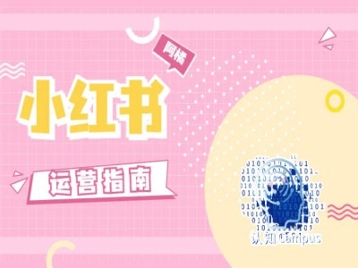 小红书运营指南，没有套路，全是经验-KF云创
