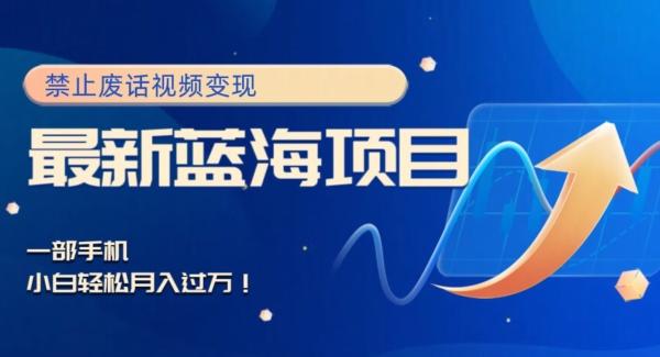 最新蓝海项目，靠禁止废话视频变现，一部手机，小白轻松月入过万！-KF云创
