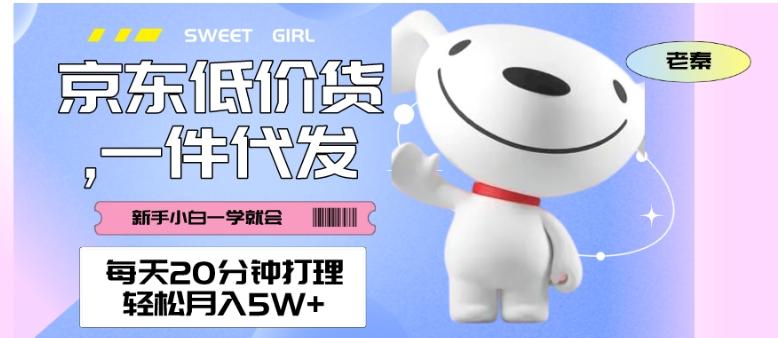 每天20分钟打理京东低价货，一件代发-轻松月入5W＋-KF云创