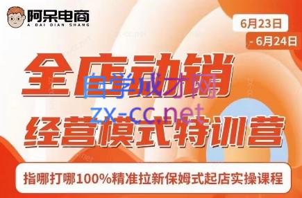 阿呆电商·全店动销经营模式特训营(线下录音+思维导图)-KF云创