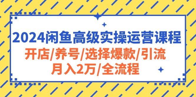 2024闲鱼高级实操运营课程：开店/养号/选择爆款/引流/月入2万/全流程-KF云创