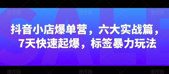 抖音小店爆单营，六大实战篇，7天快速起爆，标签暴力玩法-KF云创