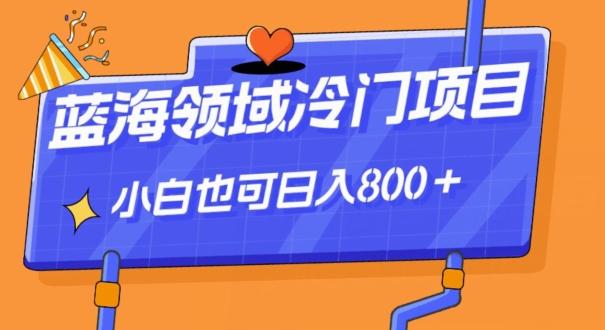 蓝海领域冷门赛道，一单39.9，日入800＋-KF云创