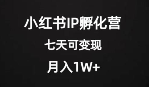 价值2000+的小红书IP孵化营项目，超级大蓝海，七天即可开始变现，稳定月入1W+-KF云创