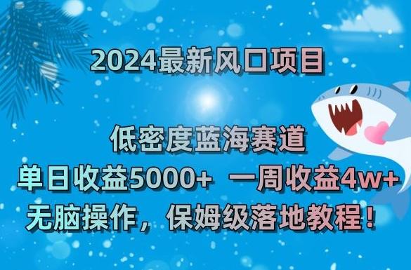 2024最新风口项目，低密度蓝海赛道，单日收益5000+，一周收益4w+！【揭秘】-KF云创