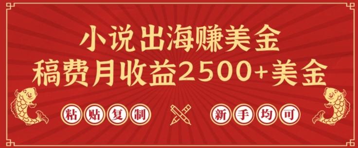小说出海赚美金，稿费月收益2500+美金，仅需chatgpt粘贴复制，新手也能玩转【揭秘】-KF云创