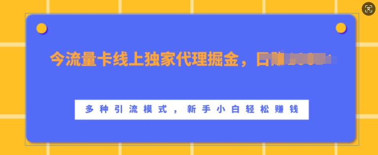 流量卡线上独家代理掘金，日入1k+ ，多种引流模式，新手小白轻松上手【揭秘】-KF云创