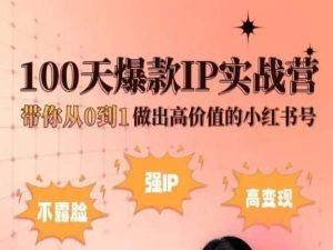 小红书100天爆款IP实战营，带你从0到1做出高价值的小红书号-KF云创