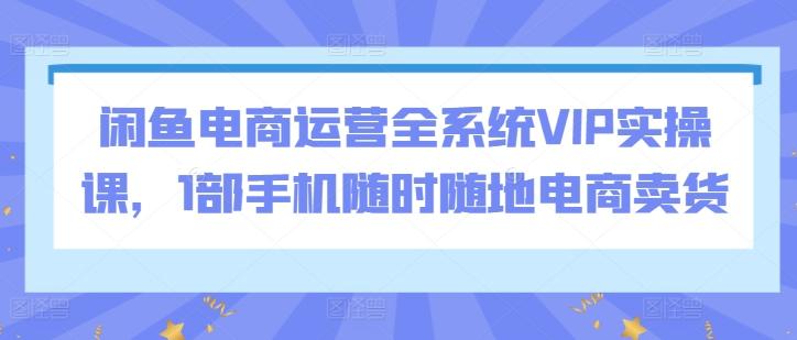 闲鱼电商运营全系统VIP实操课，1部手机随时随地电商卖货-KF云创