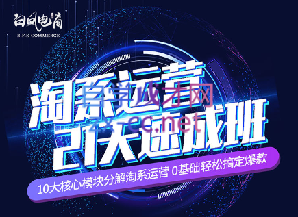 淘系运营21天速成班(更新24年5月)-KF云创