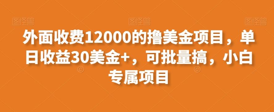 外面收费12000的撸美金项目，单日收益30美金+，可批量搞，小白专属项目-KF云创