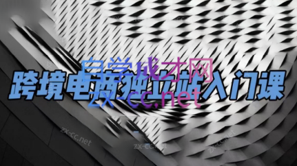 团长·跨境电商独立站入门课(2小时精华)-KF云创