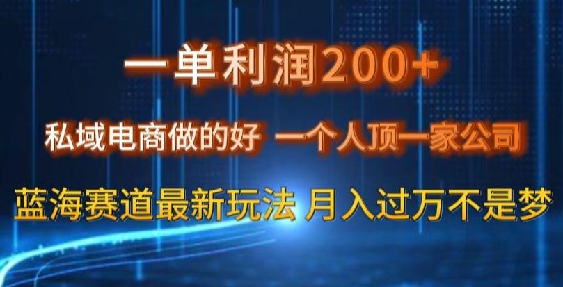 一单利润200私域电商做的好，一个人顶一家公司蓝海赛道最新玩法【揭秘】-KF云创