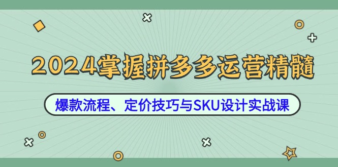 2024掌握拼多多运营精髓：爆款流程、定价技巧与SKU设计实战课-KF云创