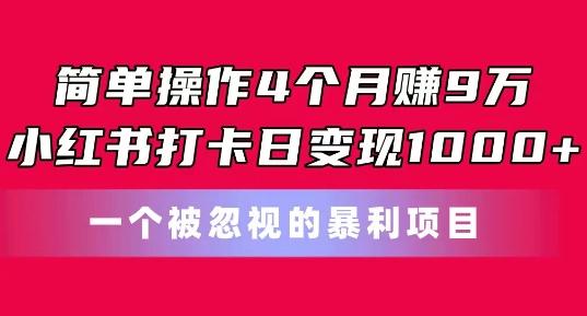 简单操作4个月赚9w，小红书打卡日变现1k，一个被忽视的暴力项目【揭秘】-KF云创