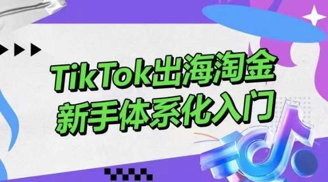TikTok出海淘金，新手体系化入门，零基础快速入门，掌握短视频、直播带货等引流到变现的知识-KF云创