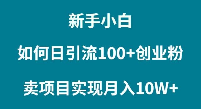 (9556期)新手小白如何通过卖项目实现月入10W+-KF云创