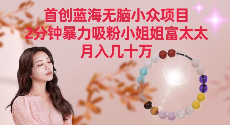 首创蓝海无脑小众项目，2分钟暴力吸粉小姐姐富太太，月入几十万【揭秘】-KF云创