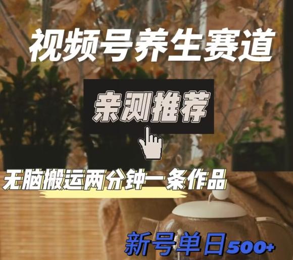 视频号养生赛道暴力掘金，无脑搬运，两分钟一条作品-新日单入500+-KF云创