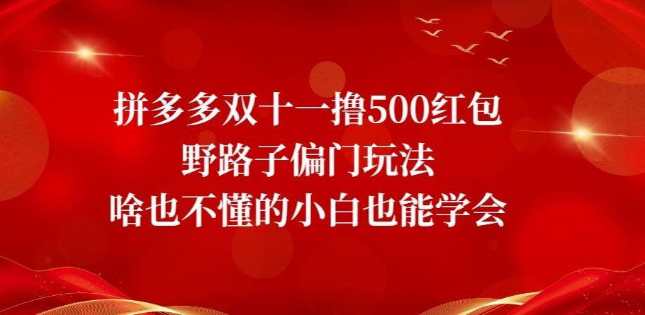 拼多多双十一撸500红包野路子偏门玩法，啥也不懂的小白也能学会【揭秘】-KF云创